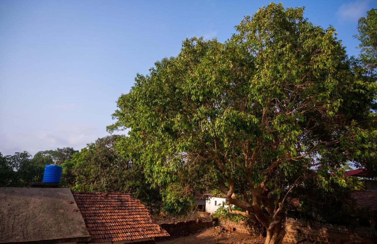 La Oasis By Meraden ,Goa Анжуна Екстер'єр фото